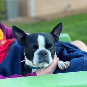 Meet your Posher, Kelly